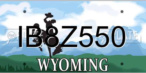 IB8Z550 Wyoming License Plate