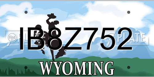 IB8Z752 Wyoming License Plate