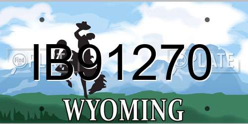 IB91270 Wyoming License Plate
