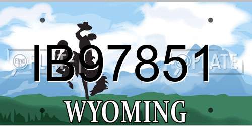 IB97851 Wyoming License Plate