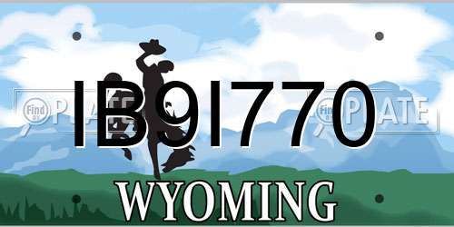 IB9I770 Wyoming License Plate