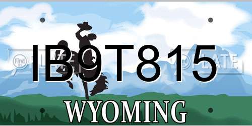 IB9T815 Wyoming License Plate