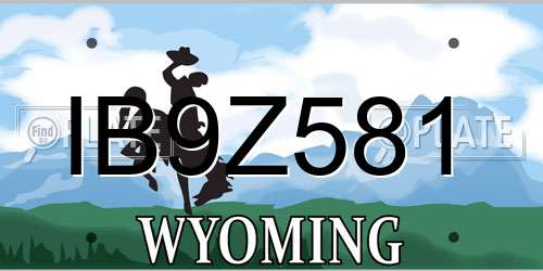 IB9Z581 Wyoming License Plate