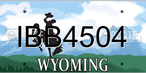IBB4504 Wyoming License Plate