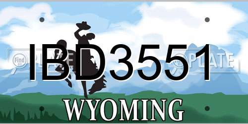 IBD3551 Wyoming License Plate