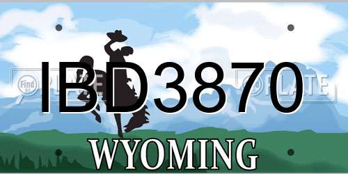 IBD3870 Wyoming License Plate