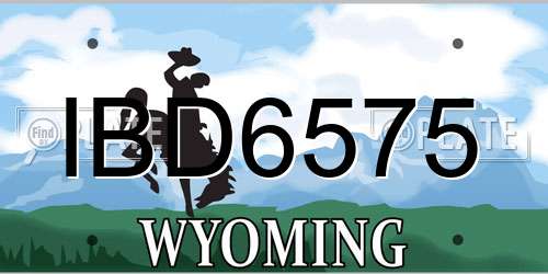 IBD6575 Wyoming License Plate