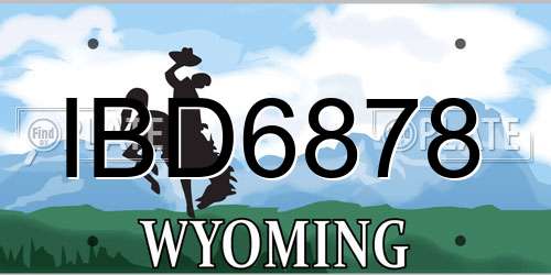 IBD6878 Wyoming License Plate