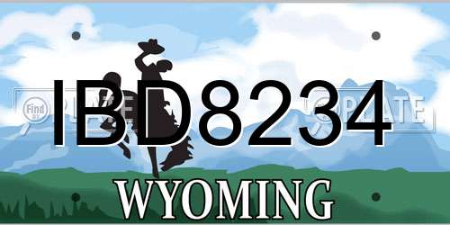 IBD8234 Wyoming License Plate