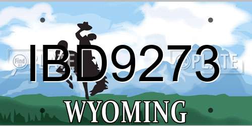 IBD9273 Wyoming License Plate