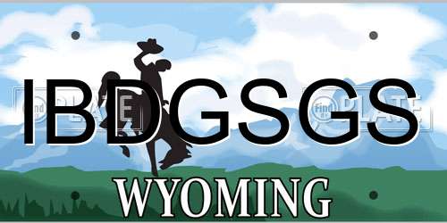IBDGSGS Wyoming License Plate