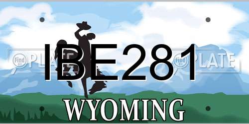IBE281 Wyoming License Plate