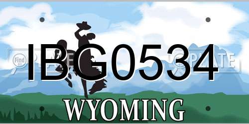 IBG0534 Wyoming License Plate