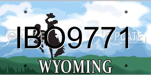 IBO9771 Wyoming License Plate