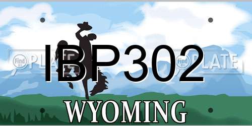 IBP302 Wyoming License Plate