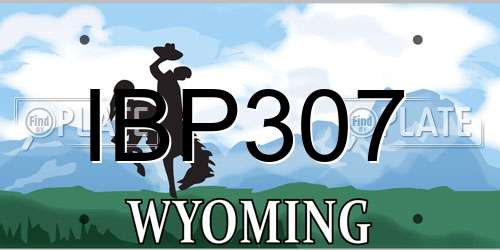 IBP307 Wyoming License Plate