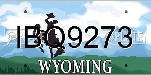 IBQ9273 Wyoming License Plate