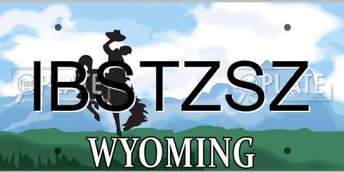 IBSTZSZ Wyoming License Plate