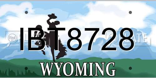 IBT8728 Wyoming License Plate