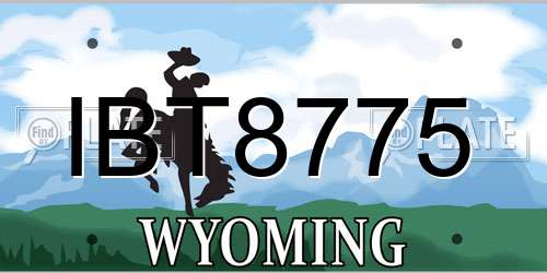 IBT8775 Wyoming License Plate