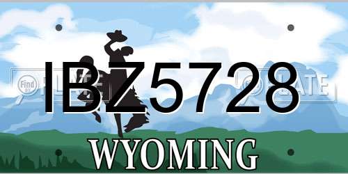IBZ5728 Wyoming License Plate