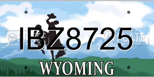 IBZ8725 Wyoming License Plate