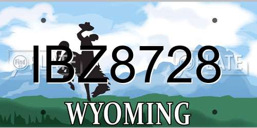IBZ8728 Wyoming License Plate