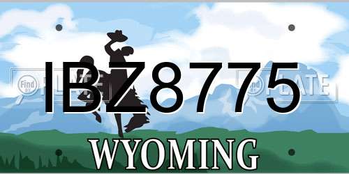 IBZ8775 Wyoming License Plate