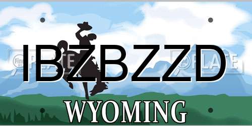 IBZBZZD Wyoming License Plate