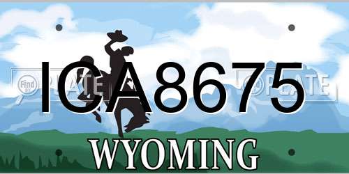 ICA8675 Wyoming License Plate