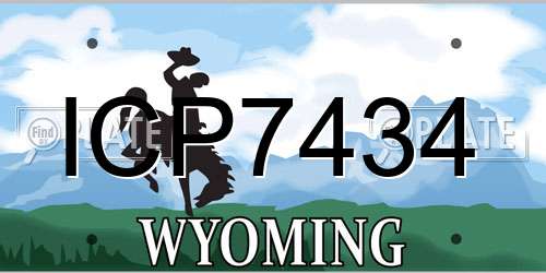 ICP7434 Wyoming License Plate