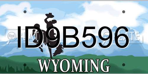 ID9B596 Wyoming License Plate