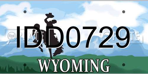 IDD0729 Wyoming License Plate