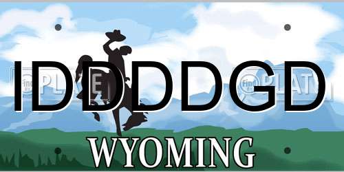 IDDDDGD Wyoming License Plate