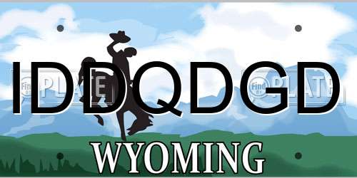 IDDQDGD Wyoming License Plate