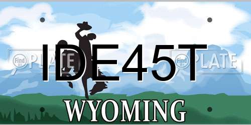 IDE45T Wyoming License Plate