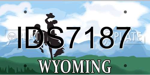 IDS7187 Wyoming License Plate
