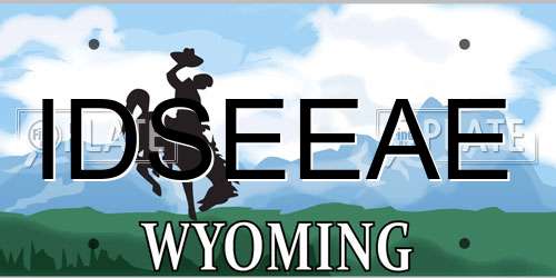 IDSEEAE Wyoming License Plate