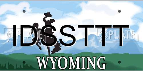 IDSSTTT Wyoming License Plate