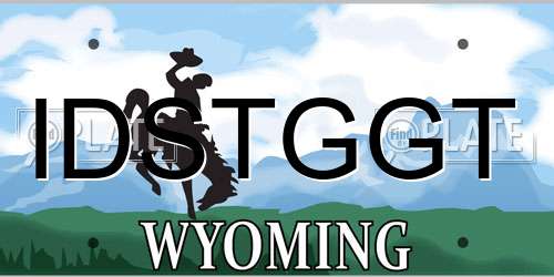 IDSTGGT Wyoming License Plate