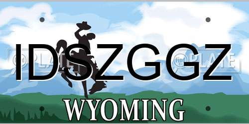 IDSZGGZ Wyoming License Plate