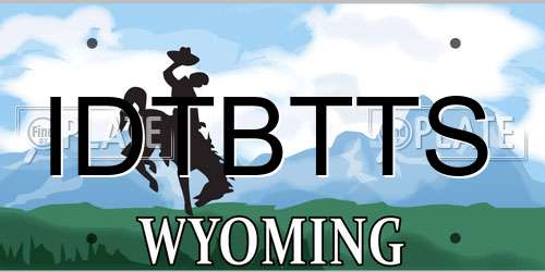 IDTBTTS Wyoming License Plate