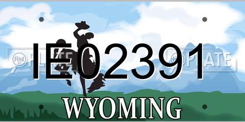 IE02391 Wyoming License Plate