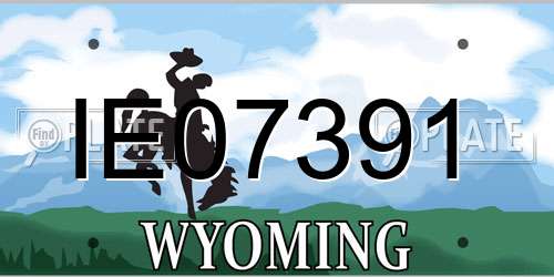 IE07391 Wyoming License Plate