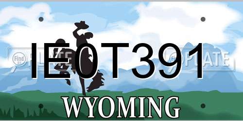 IE0T391 Wyoming License Plate