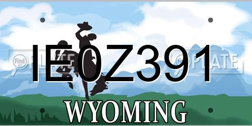 IE0Z391 Wyoming License Plate