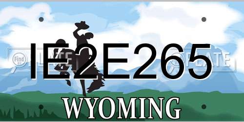 IE2E265 Wyoming License Plate