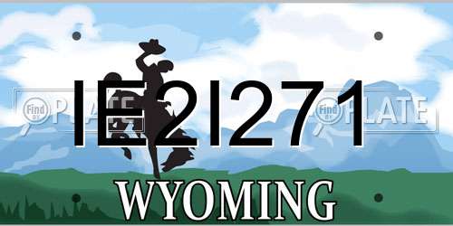 IE2I271 Wyoming License Plate