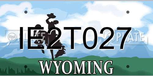 IE2T027 Wyoming License Plate