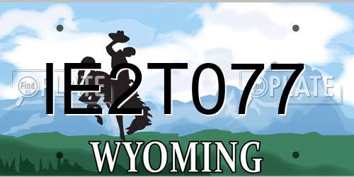 IE2T077 Wyoming License Plate